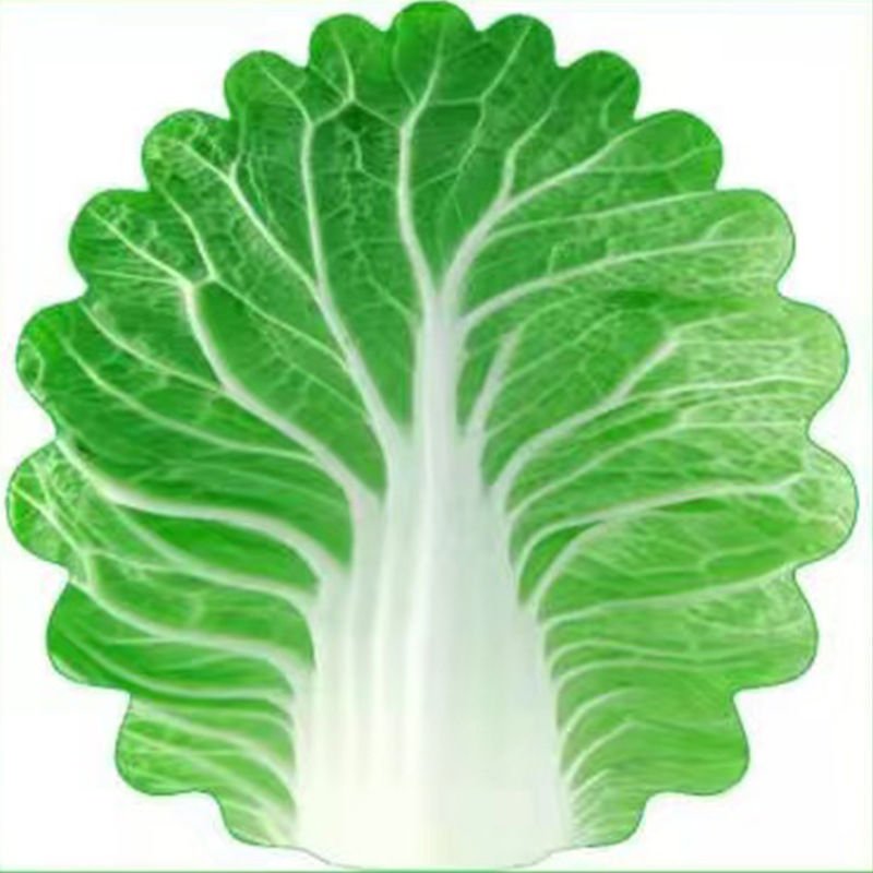cartoon cabbage plush blanket wholesale flannel designer bed blankets pet big winter custom blankets - Image 3